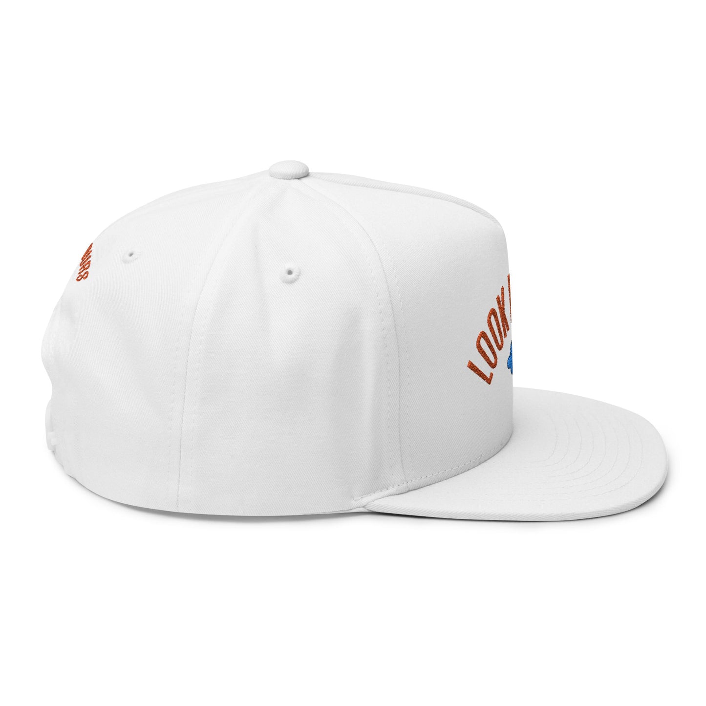 Look Deeper Flat Embroidered Brim Hat