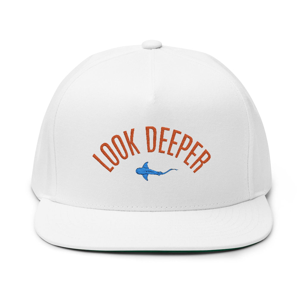 Look Deeper Flat Embroidered Brim Hat