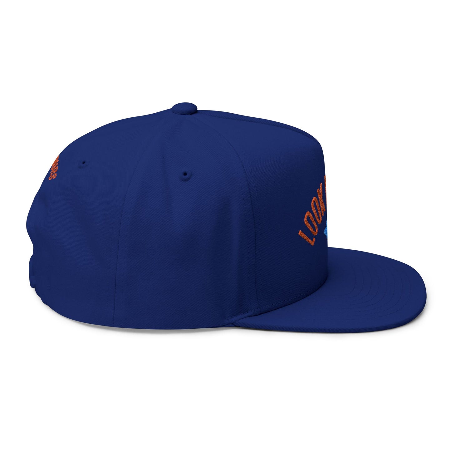 Look Deeper Flat Embroidered Brim Hat